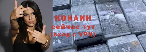 дмт Богородск