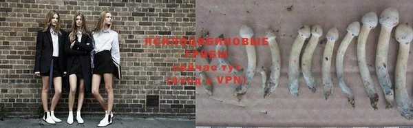 альфа пвп VHQ Богородицк