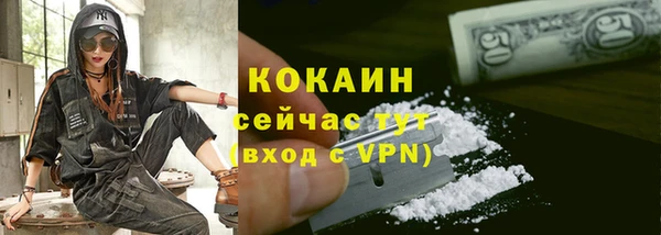 соль ск Белокуриха