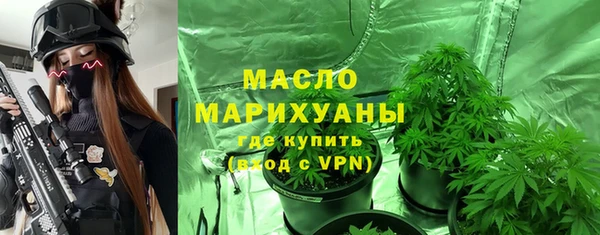 дмт Богородск