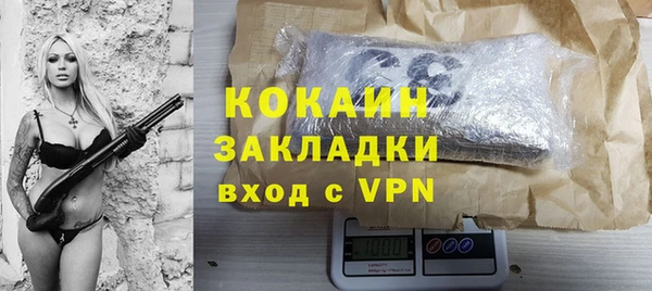 дмт Богородск