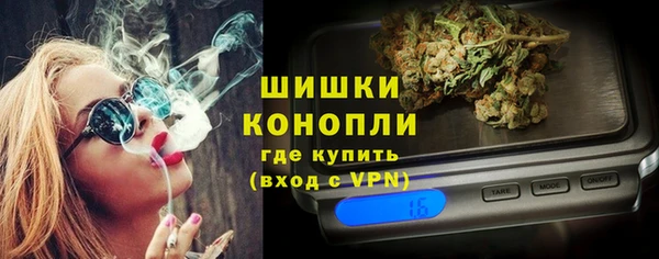 дмт Богородск