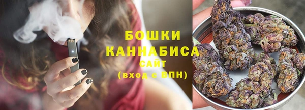 дмт Богородск