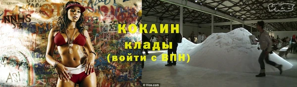 дмт Богородск