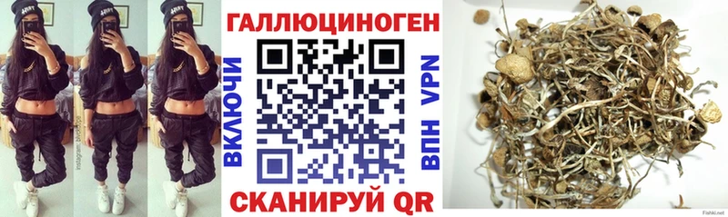 Купить закладки  Дегтярск  Псилоцибиновые грибы ЛСД 